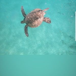 Meet your Posher, Sky